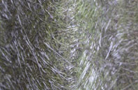 Woodley fibreglass roof work